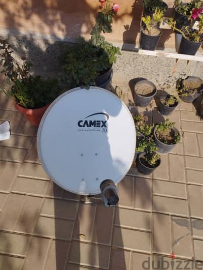 طبق CAMEX بالعديه