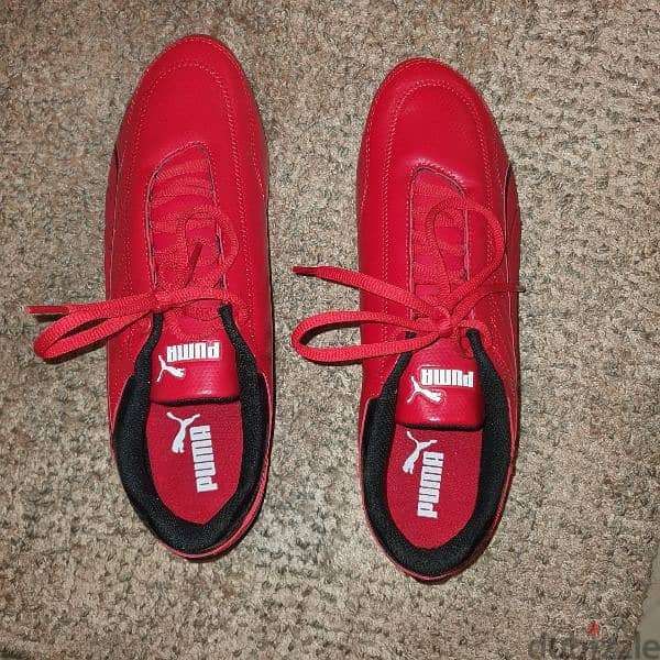 Puma shoes Ferrari size 43 . شوز بوما مقاس ٤٣ فيراري 3