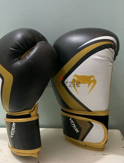 kickboxing gloves