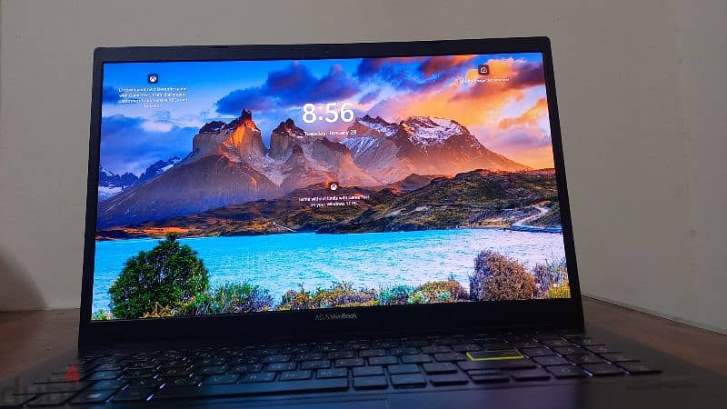 Asus vivobook oled 2