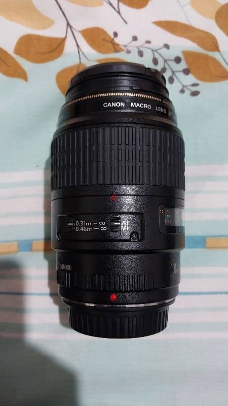 canon macro 100mm 3