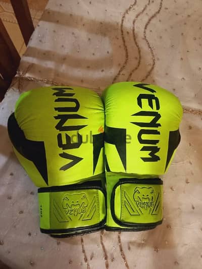 venum kickboxing gloves