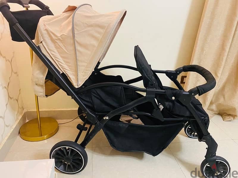 twins stroller 1