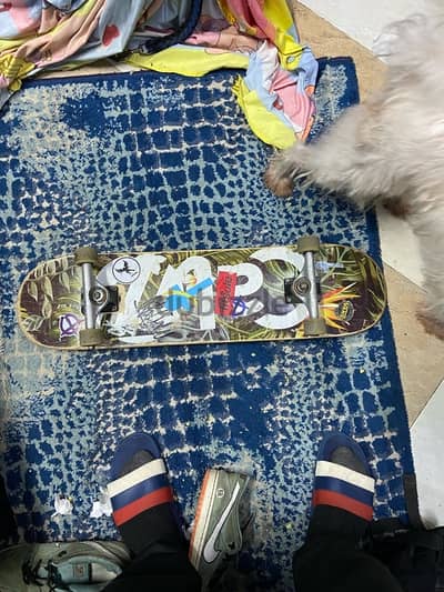 cal7 skate board