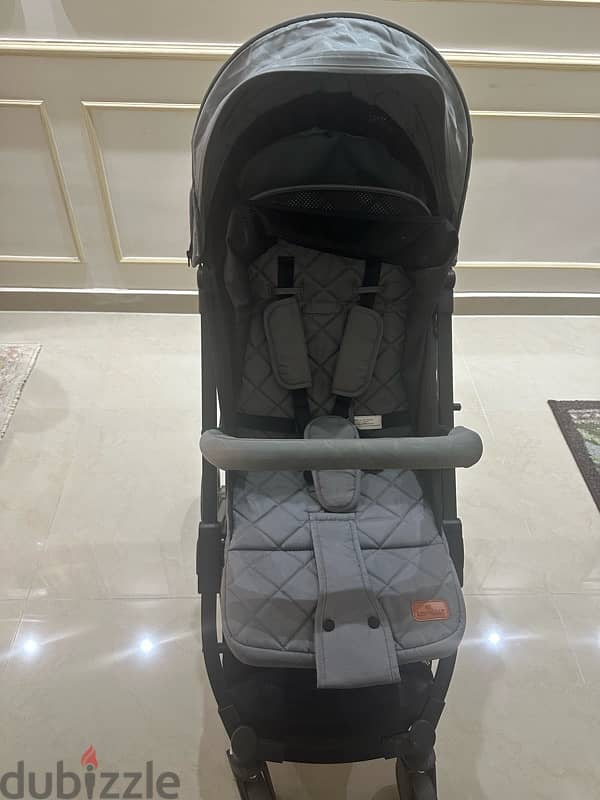 Stroller & car seat 2