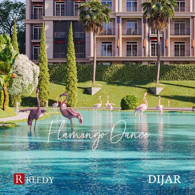 Dijar El Reedy Group