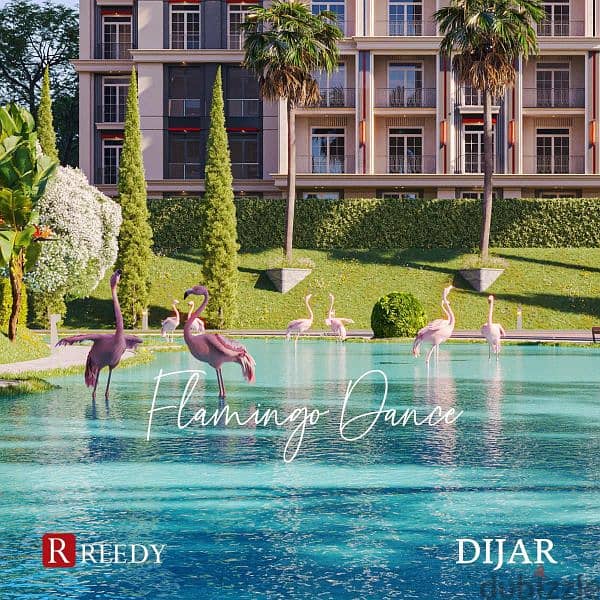 Dijar El Reedy Group 0