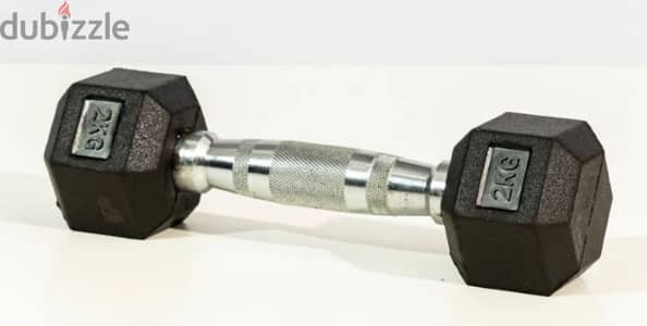 2 kg dumbell 2 dumbells