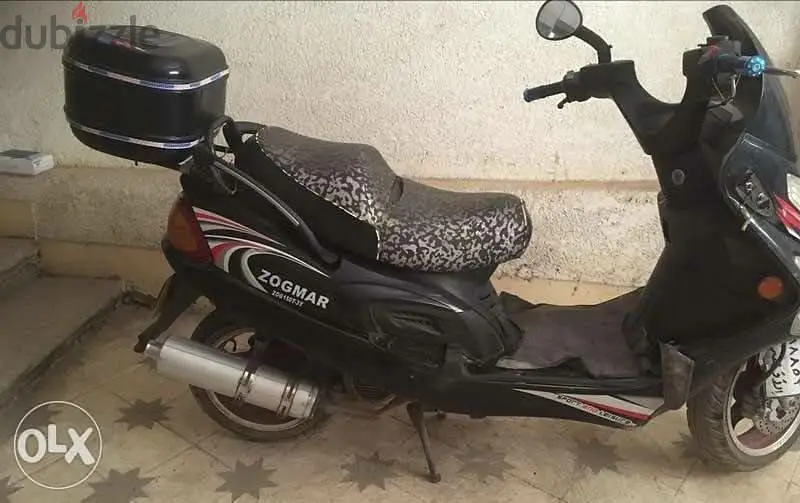 scooter zogmar64988547240067122