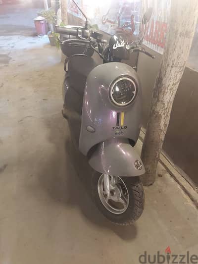 Electric Scooter