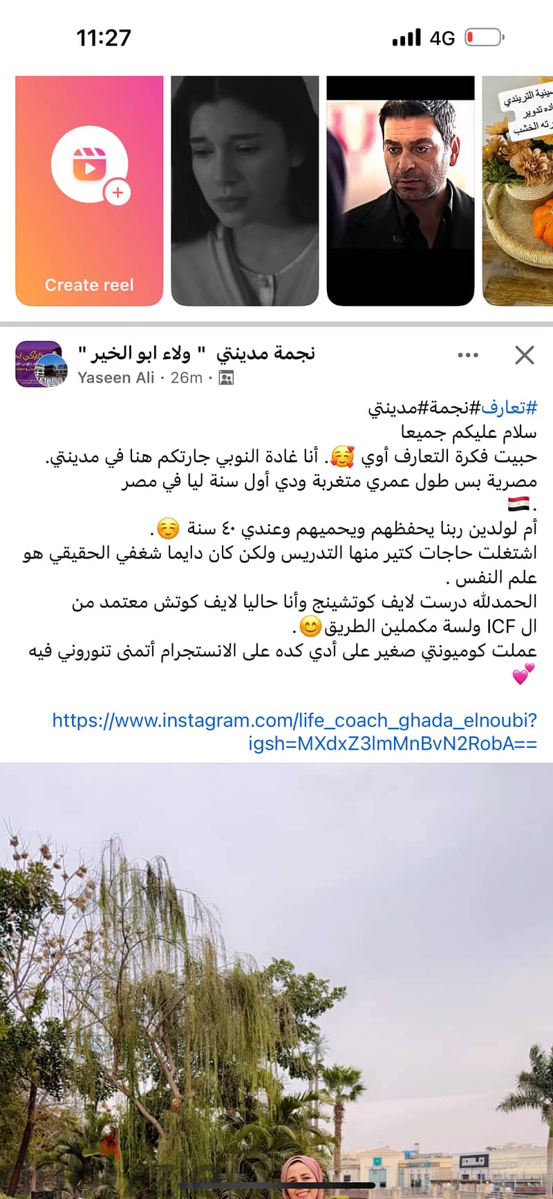 شبابيك الوميتال قطاع السعد جداد 0