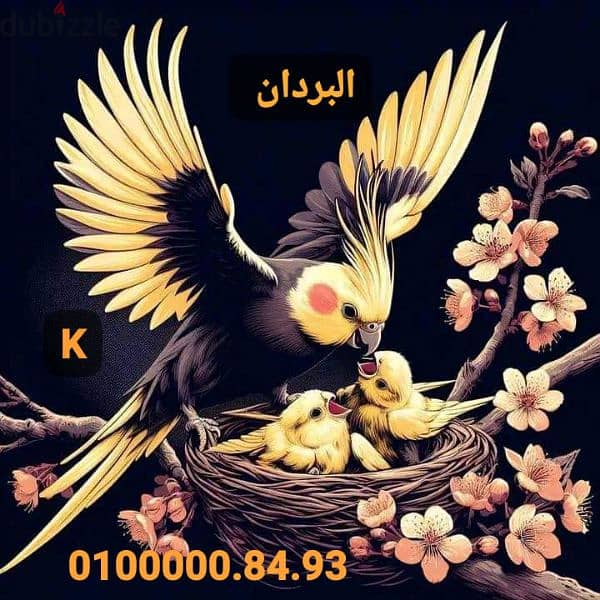 من فضل الله مجموعه رينبو من مزرعه البردان اسكندريه 1