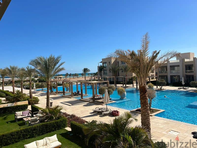 شاليه للايجار غرفتين في مانجروفي الجونه for rent 2 Br in gouna 0