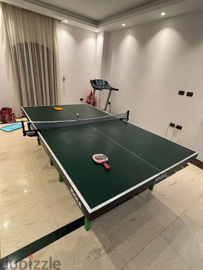 Ping pong table