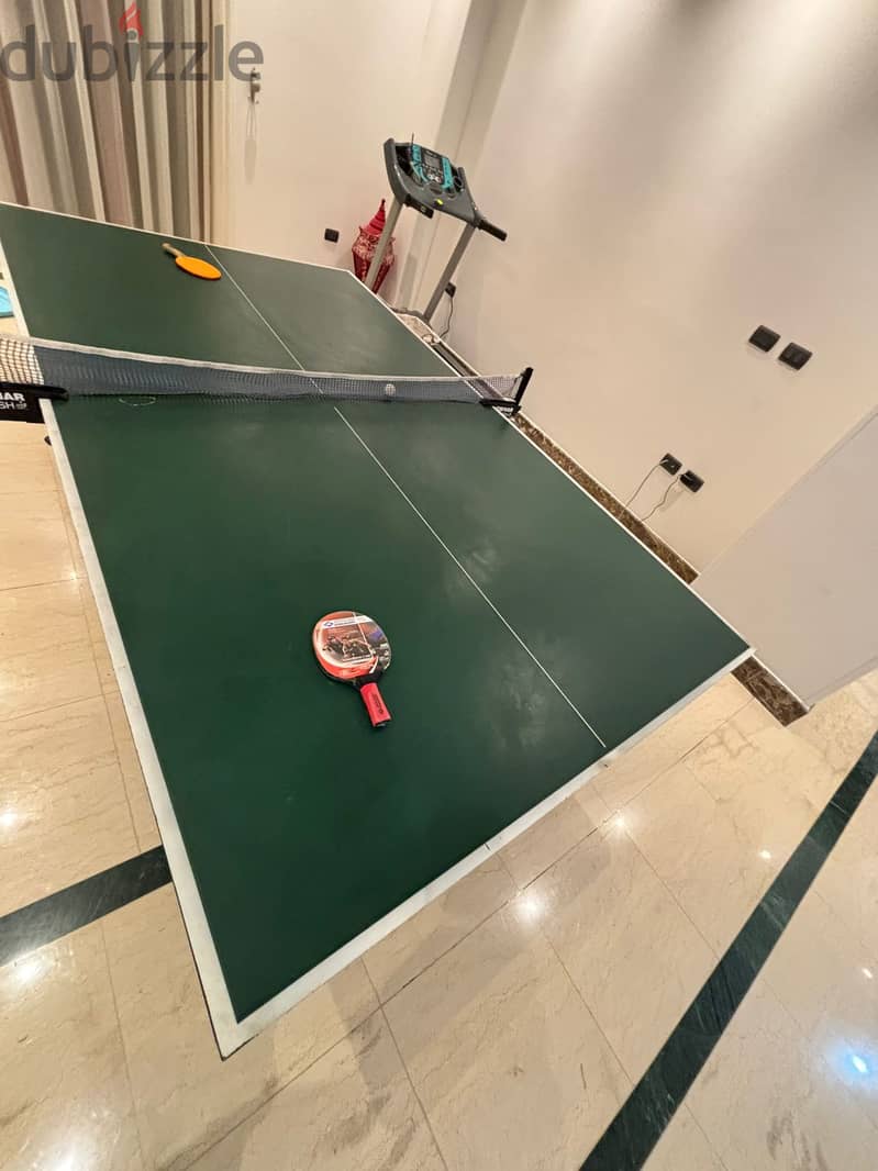 Ping pong table 1