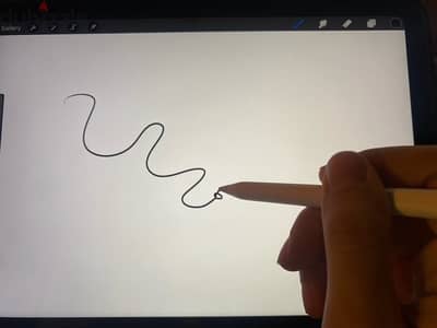 Apple Pencil (USB-C) + Tradeline black card