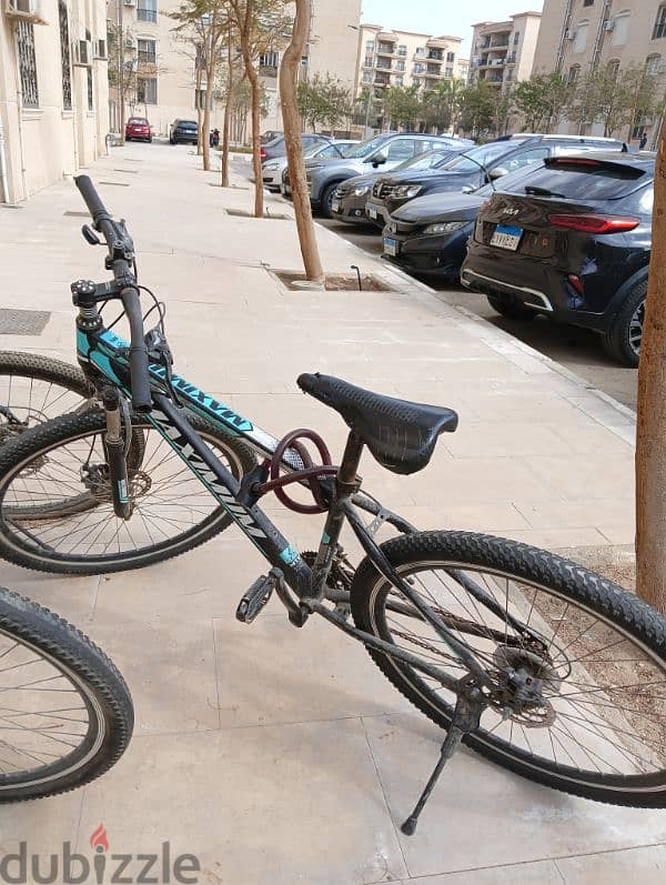 bicycle مقاس ٢٩ مستعملة 1