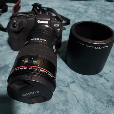 Canon EOS RP + Mount +  Canon 100 mm macro