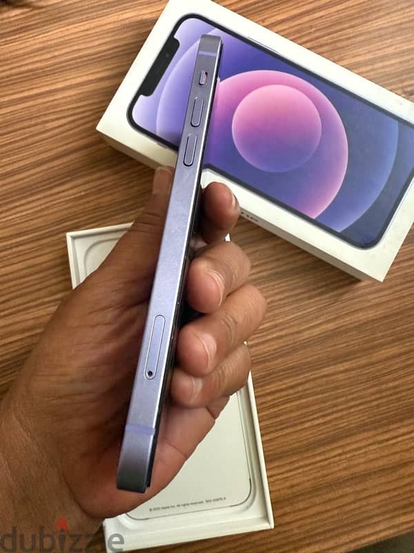 iPhone 12 purple 5