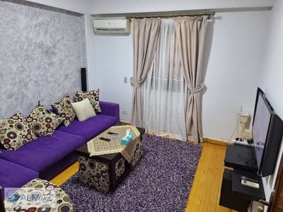 Furnished apartment for rent in the Third District in the Fifth Settlement