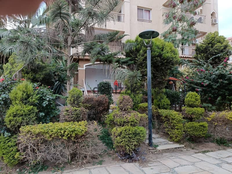 Apartment 100m private garden 45m for rent in B3 Zone with perfect location in Madinaty special price 0