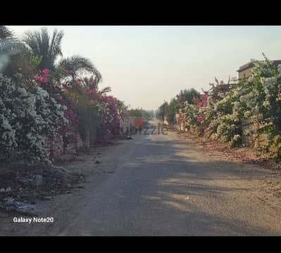 فلا للبيع بالريف الاوربي ٦اكتوبر  علي مساحة ٢فدان ونص