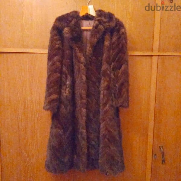 Mink Coat 1