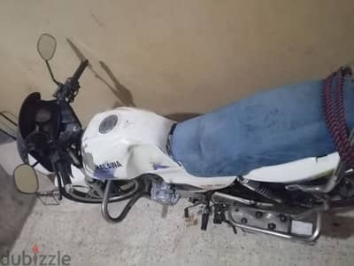 حلاوة تايجر 150 cc موديل 2013