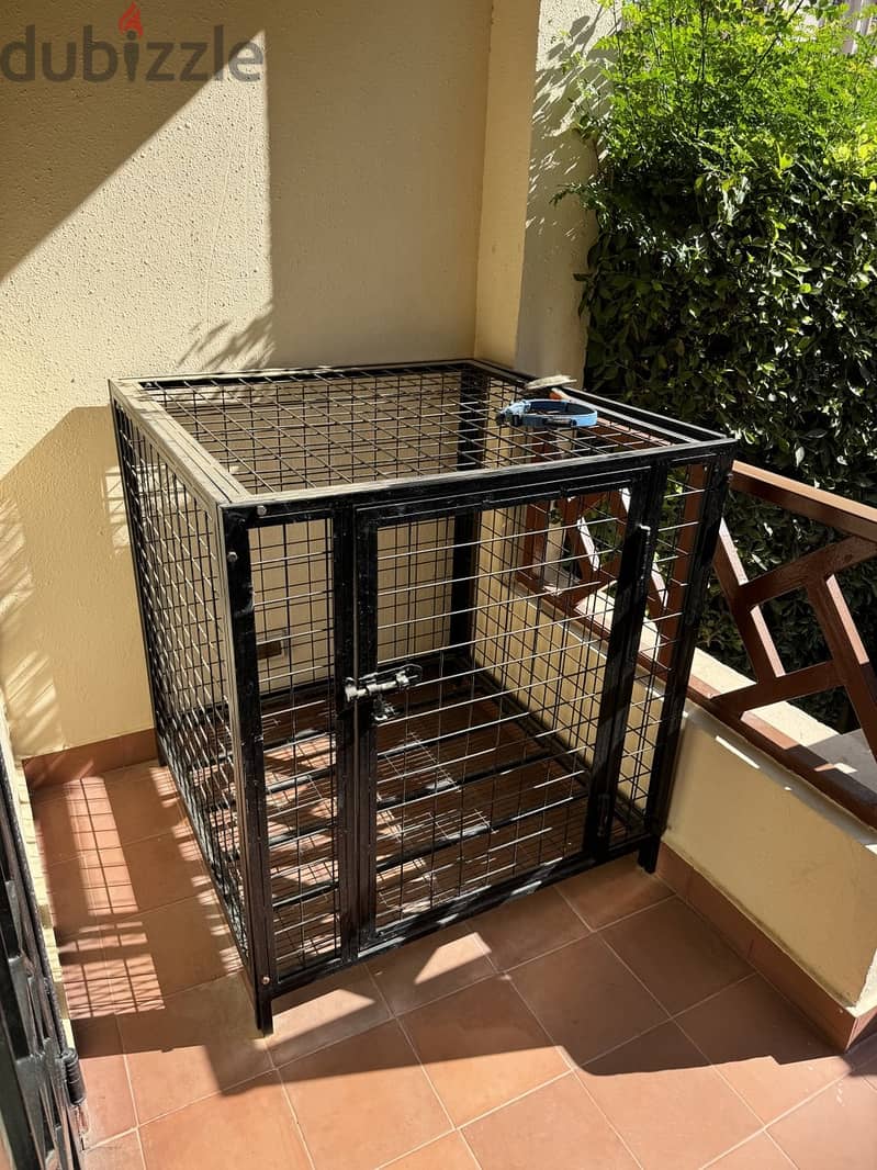 Dog and bird Cage قفص 1