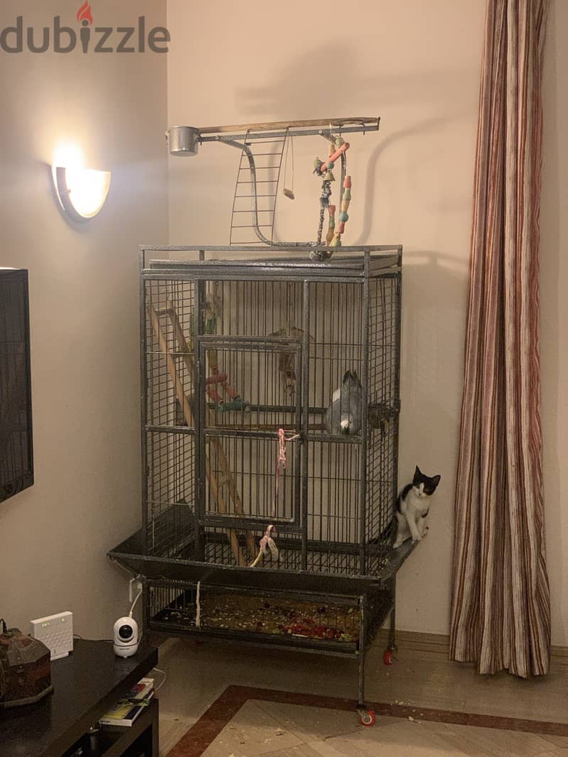 Dog and bird Cage قفص 4