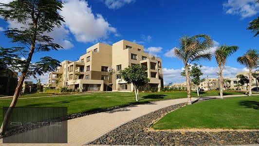 For sale, the lowest price, a resale apartment in Palm Parks, fully finished, with immediate receipt, a distinctive location, at the lowest price on t