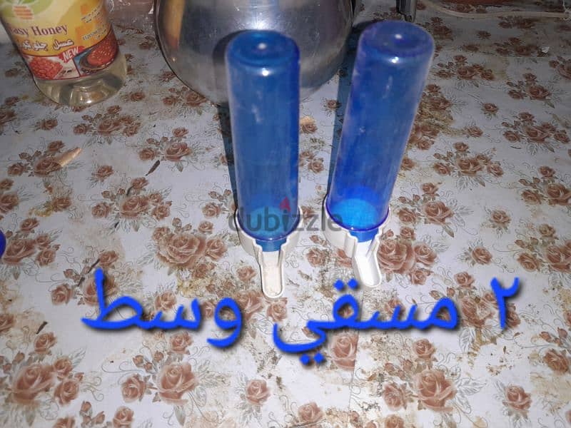 مستلزمات عصافير 4