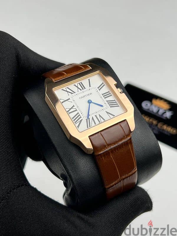 Cartier Santos Professional Quality 1