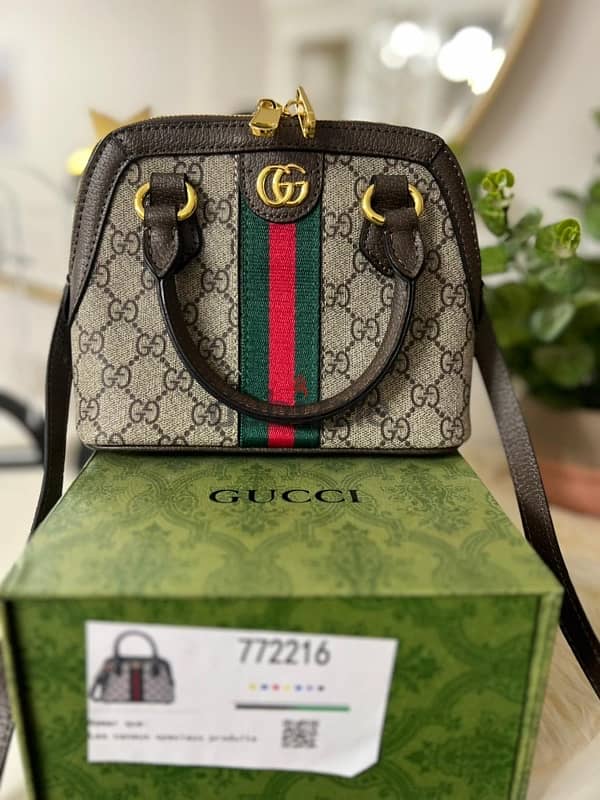 Gucci bag 2