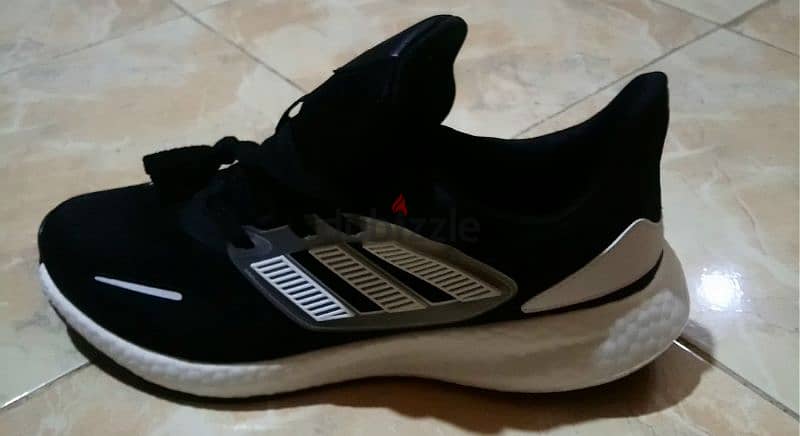 adidas altra new جديد هاي كوبي 1