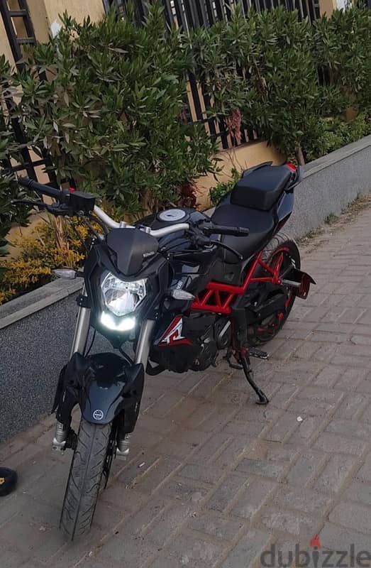 benelli tnt 150 بينيلى تى ان تى ١٥٠ كربراتير 0