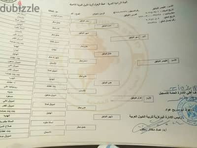 حصان مرسوم ركوب ولعب مختوم  بالشهاده