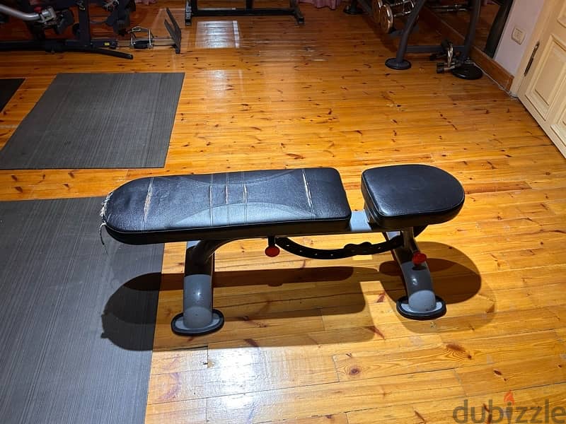 Home Gym Equipment (personal use) 1