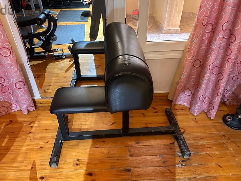 Home Gym Equipment (personal use) 4