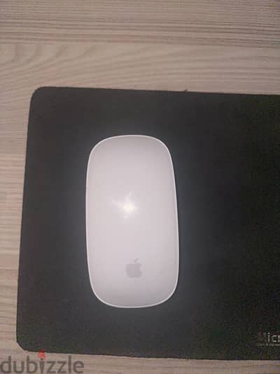 Magic Mouse 1 works perfectly