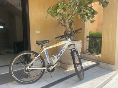 دراجه بيچو peugoat bicycle