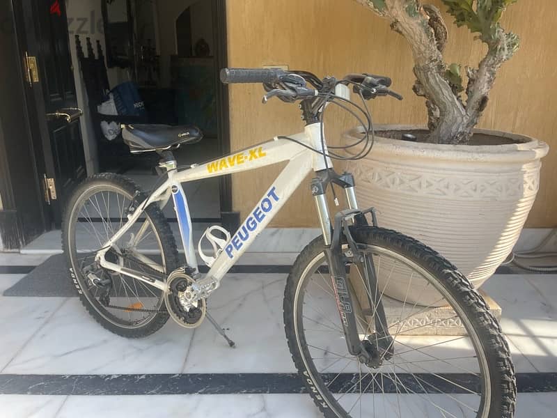 دراجه بيچو peugoat bicycle 3