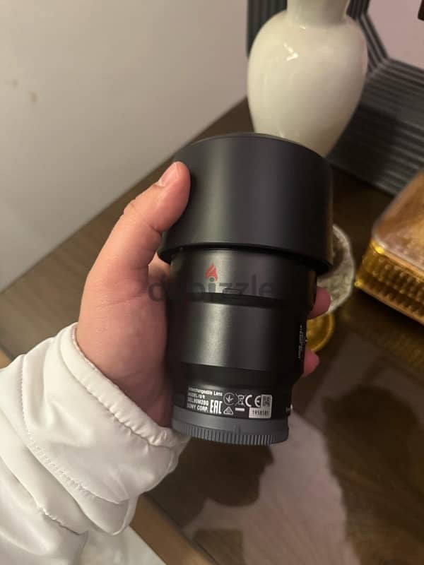 Sony FE 90mm f/2.8 Macro G OSS Lens 4