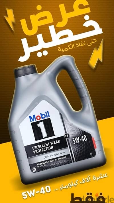 Mobil or Shell 4 L  10,000 KM  5w40