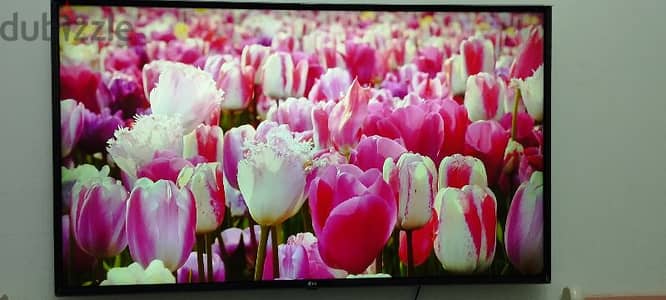 شاشة سمارت LG ٤٩ بوصة 4K