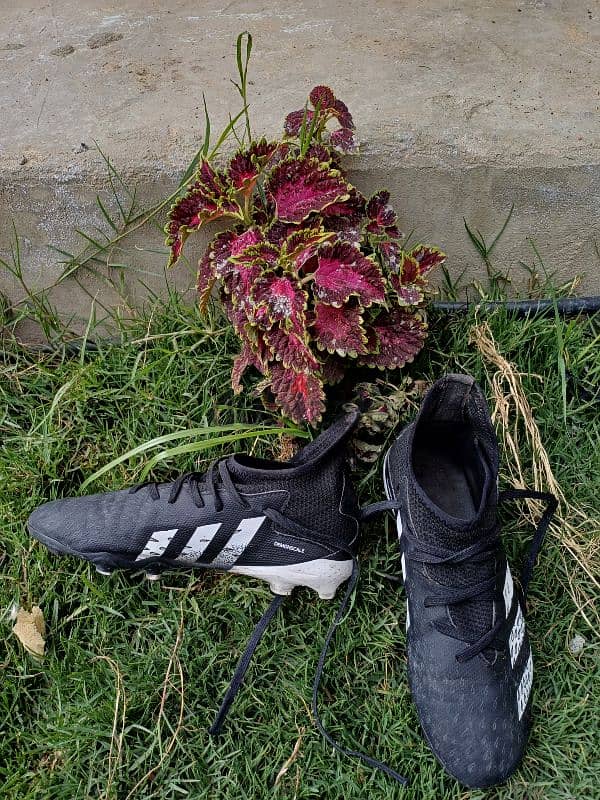 adidas predator 0