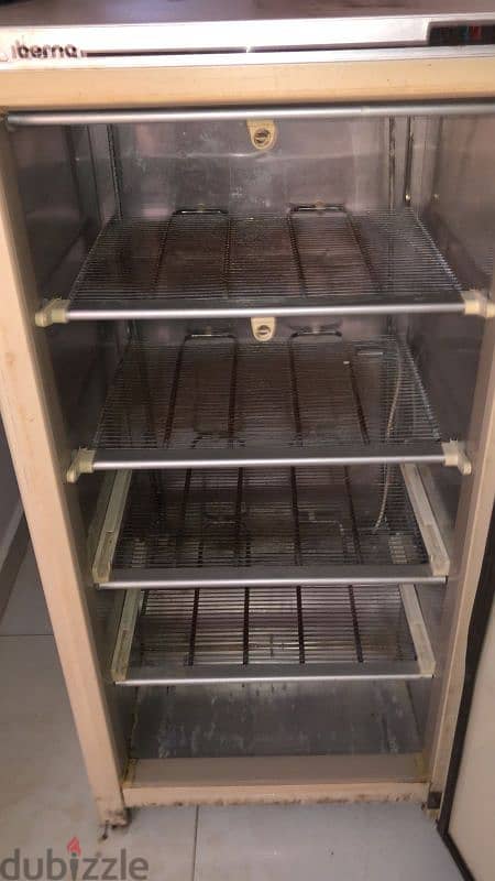 iberna deep freezer 2