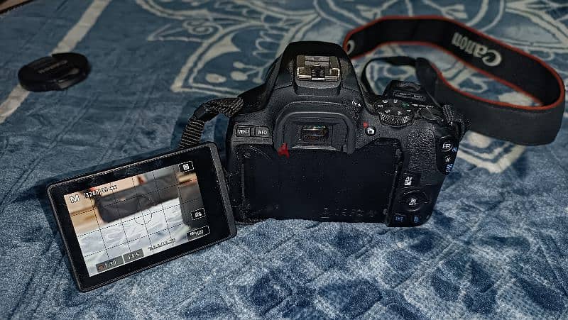 Canon 250D - كانون 250D 1