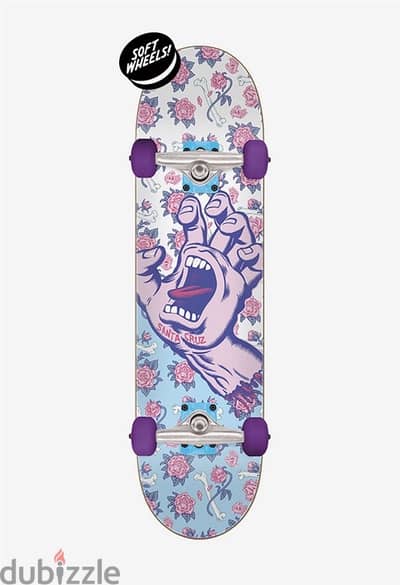 Santa Cruz Skateboard