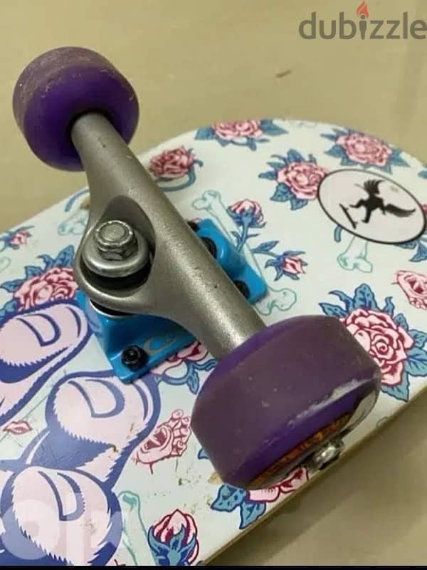 Santa Cruz Skateboard 1